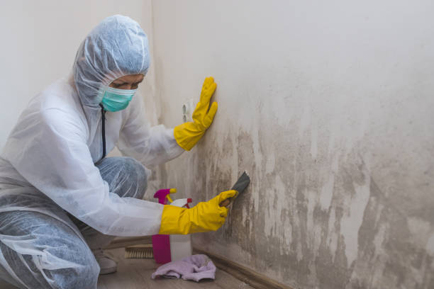 Best Crawl Space Mold Removal  in Phillipsburg, KS